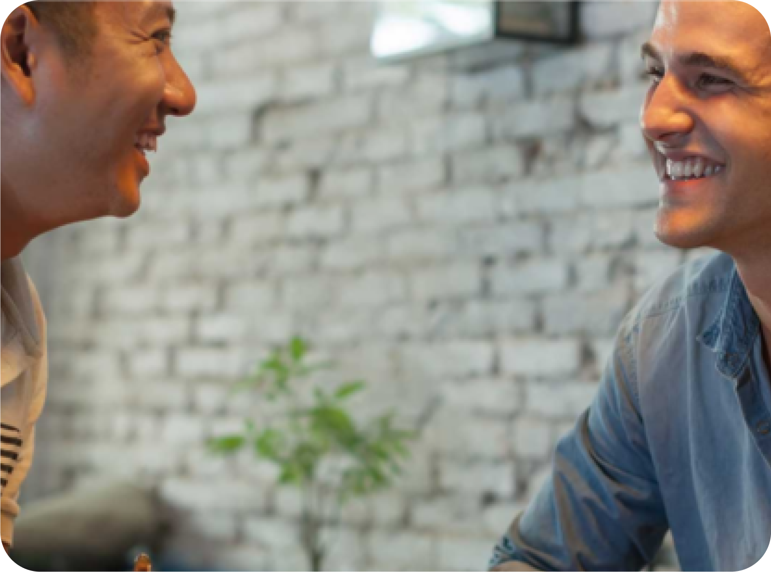 Welcome to Zignyl’s Official Blog